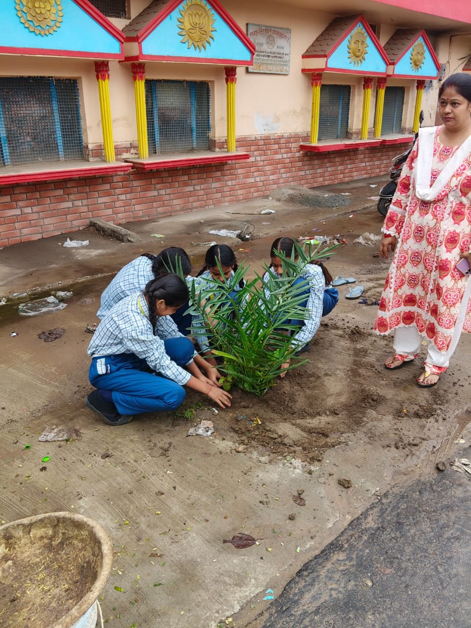 Tree Plantation